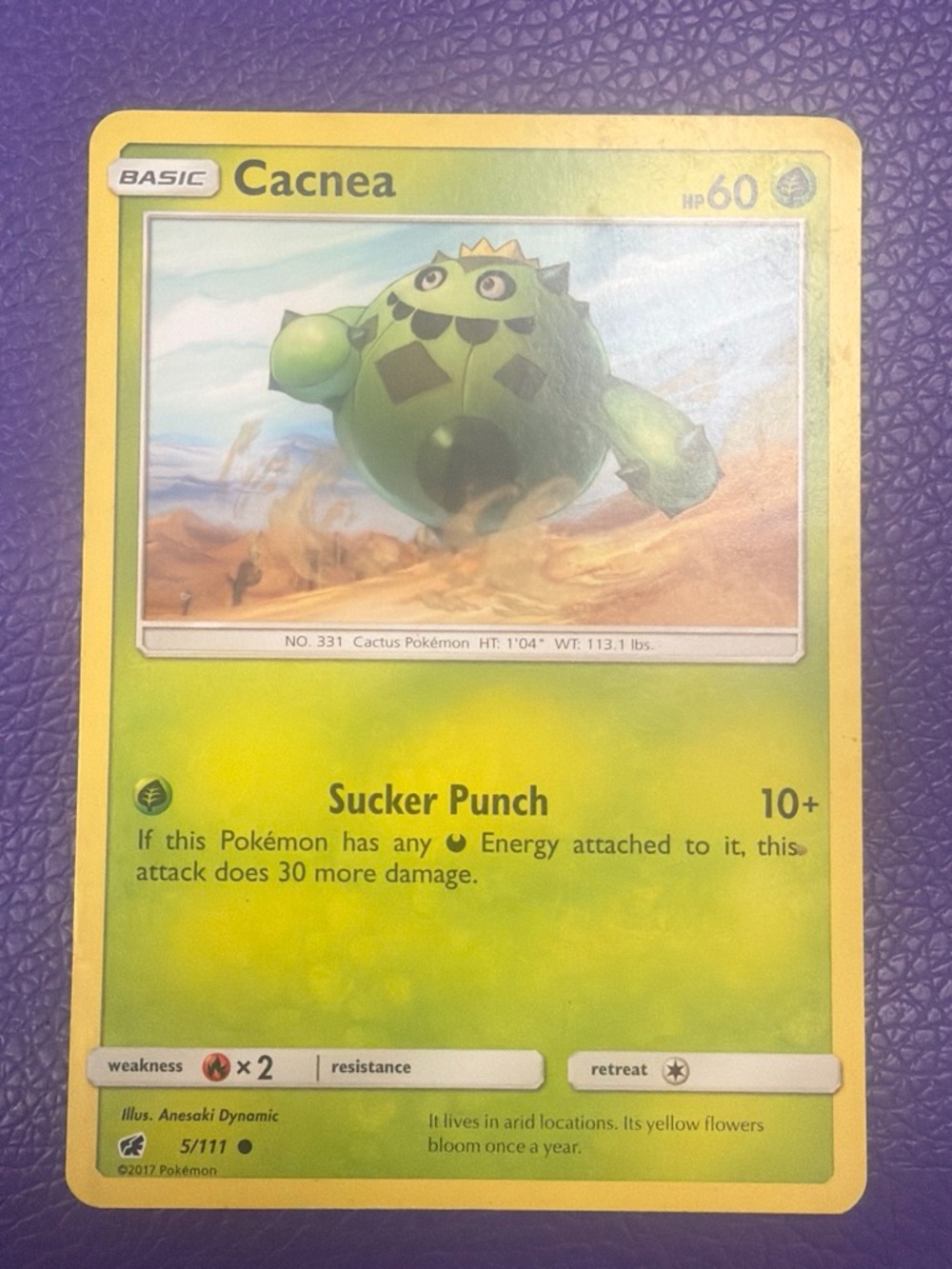 Pokemon Cacnea Card - Yellow and Green